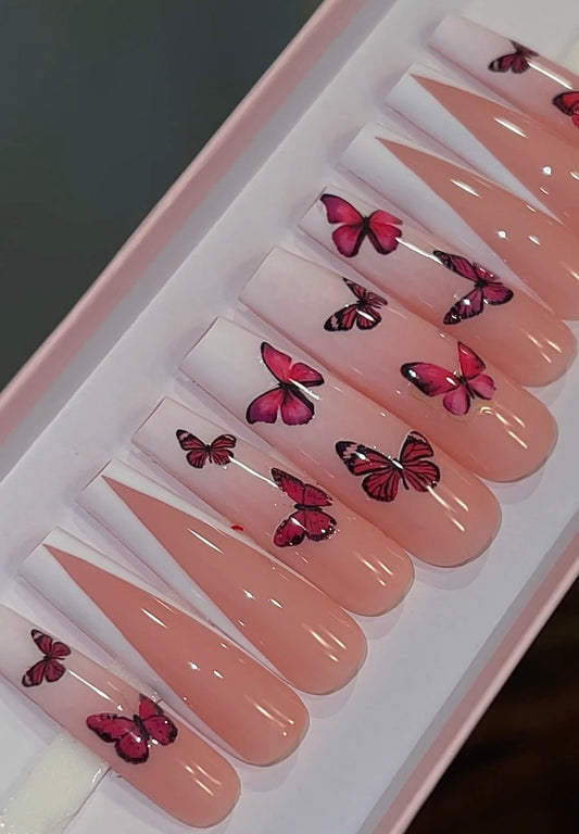 Butterfly Ombre